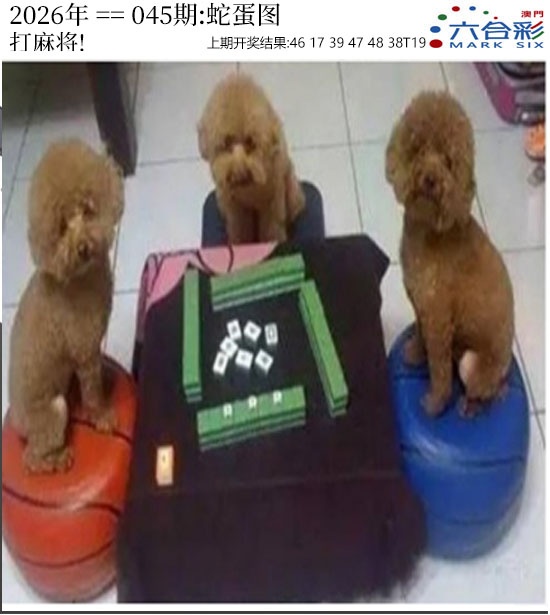 045期正版蛇蛋图[图]