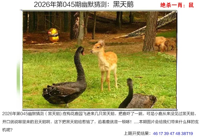 045期幽默猜测[图]