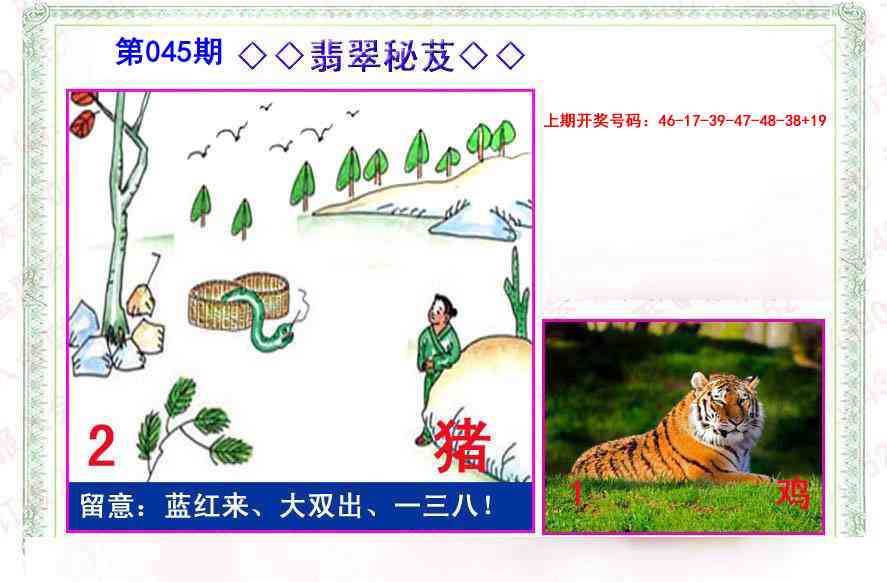 045期翡翠报[图]