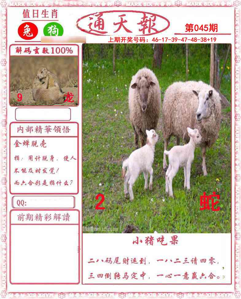 045期正版通天报[图]
