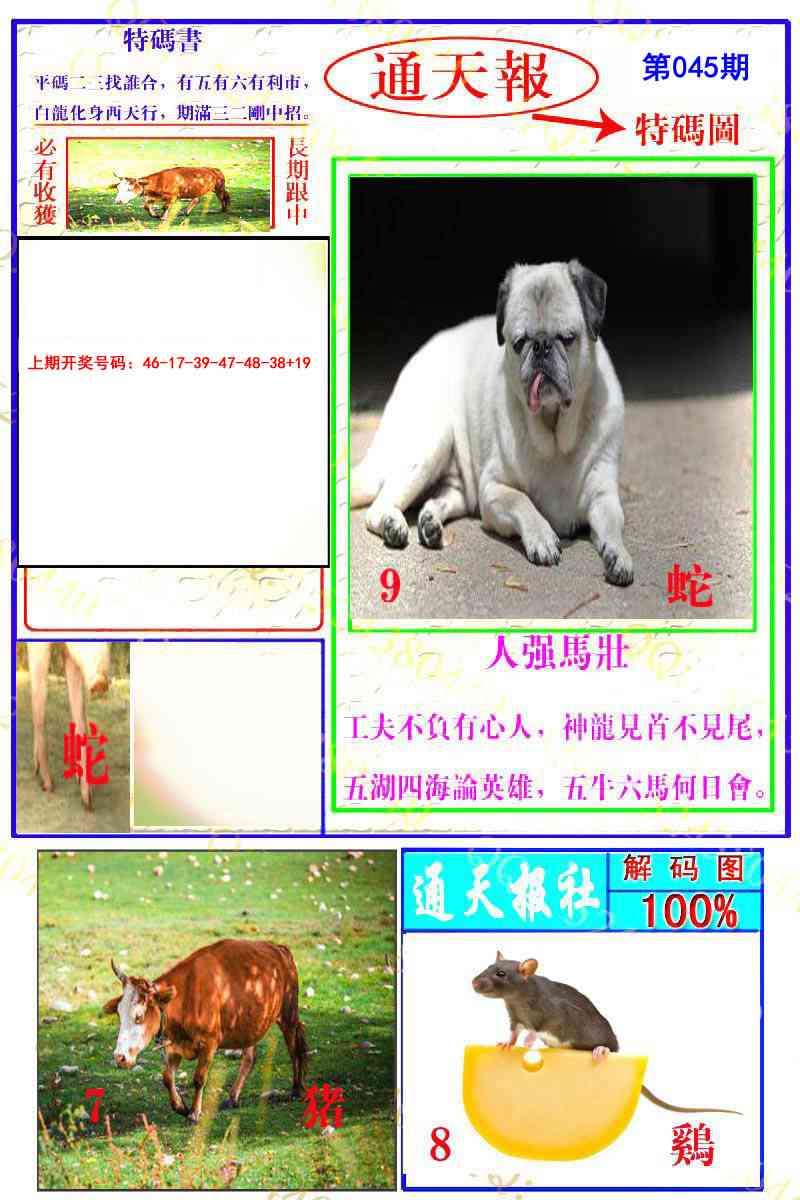 045期通天特解图[图]