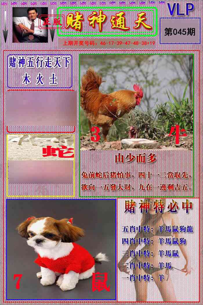 045期赌神通天报[图]