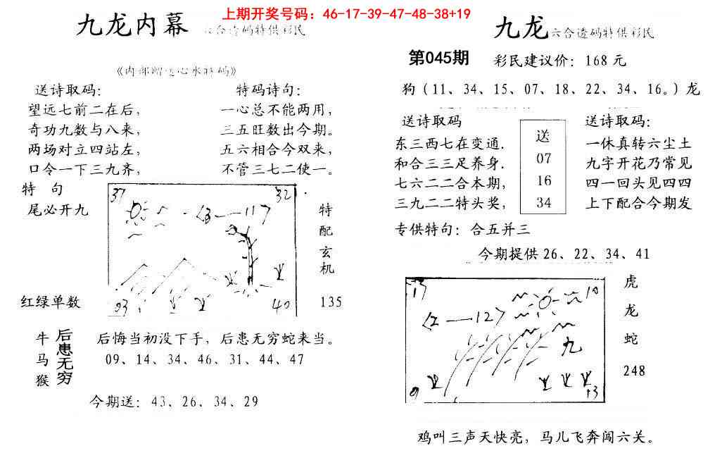 045期九龙内幕[图]