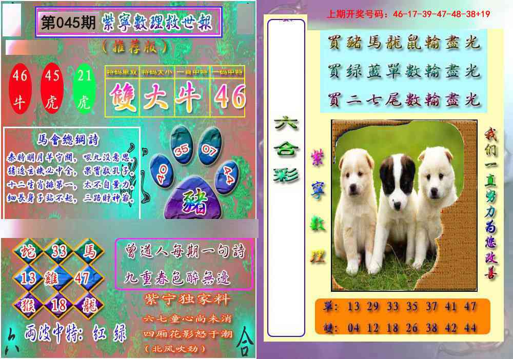 045期数理救世报[图]