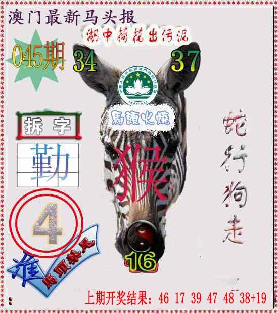 045期马头报[图]