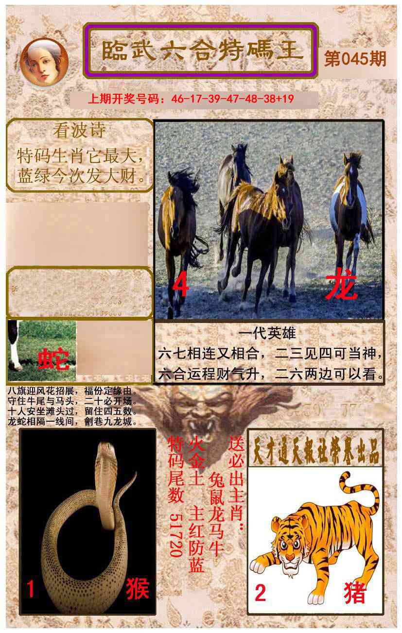 045期临武六合特码王[图]