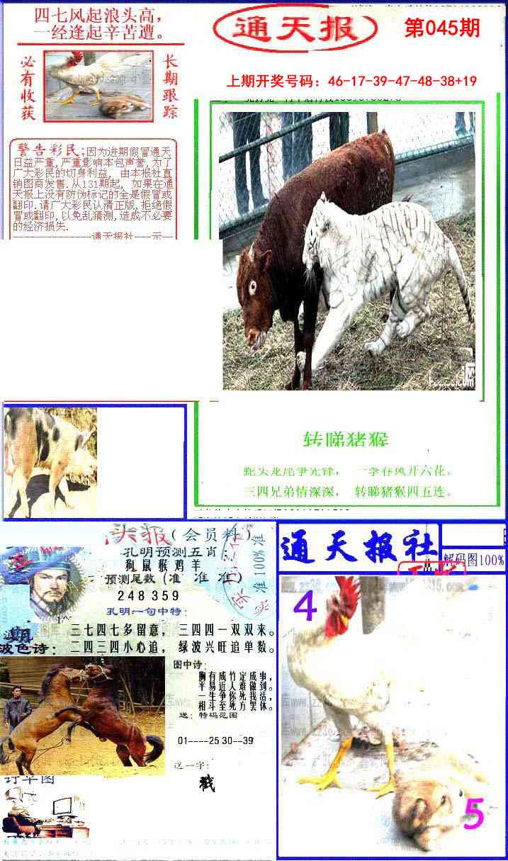 045期实力通天报[图]