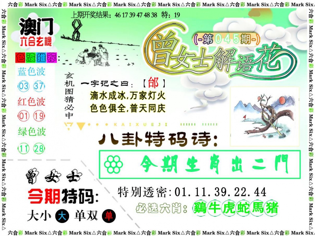 045期曾女士解语花[图]