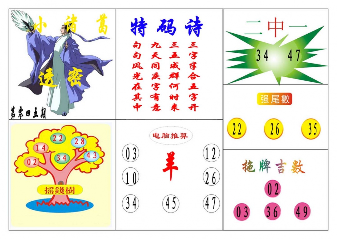 045期小诸葛[图]