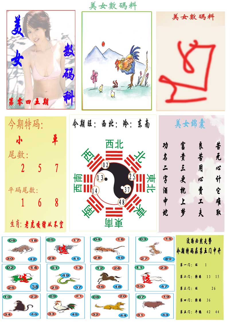 045期美女数码料[图]