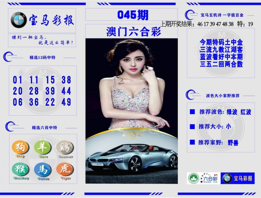 045期宝马彩报[图]