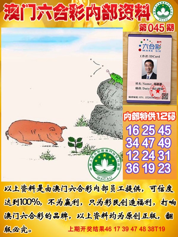 045期六合内部资料[图]