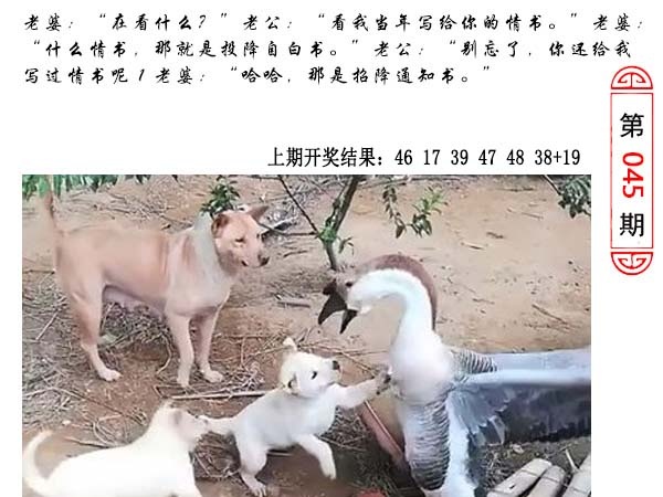 045期澳门生活幽默[图]