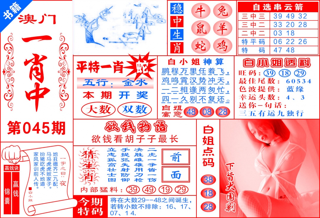 045期澳门锦囊宝典[图]