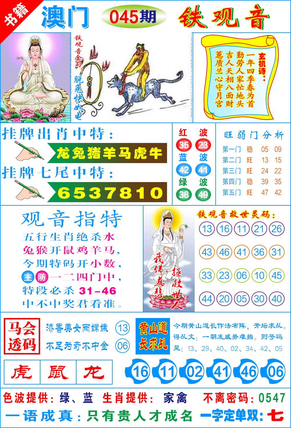 045期澳门铁观音[图]