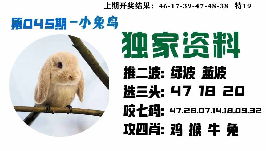 045期小兔鸟[图]